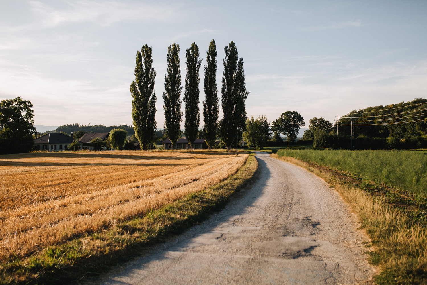 Hochzeitsfotograf Freiburg