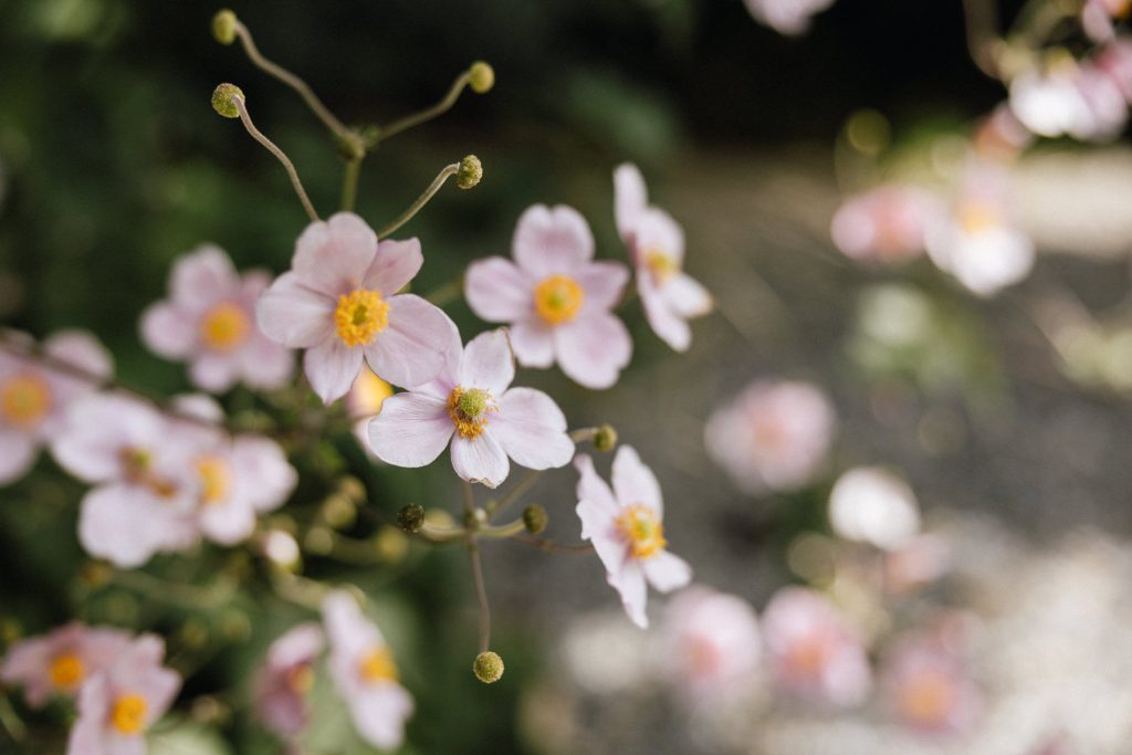 Hochzeitsfotograf Zehendermaetteli Bern 001