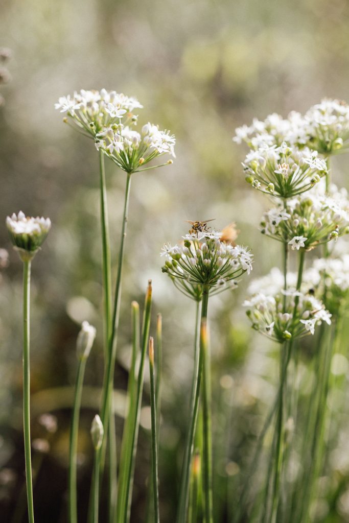 Hochzeitsfotograf Zehendermaetteli Bern 064